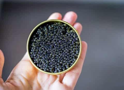 قیمت خاویار سیاه آذربایجان + خرید باور نکردنی